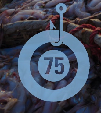 SFP Announces Goal to Get 75% of the Worlds Seafood in FIPs by 2020